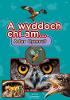 Click Here To View Book Details